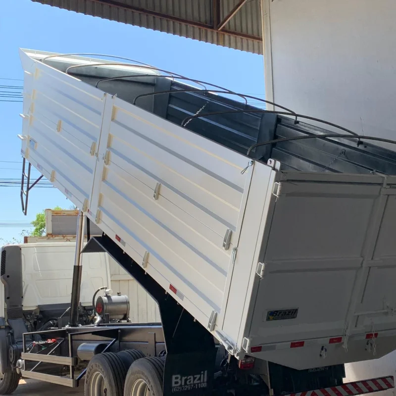 Caminhão truck graneleiro em Goiânia